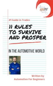 11 rules to survive and prosper in the automotive world ebook